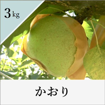 かおり　3kg箱入り