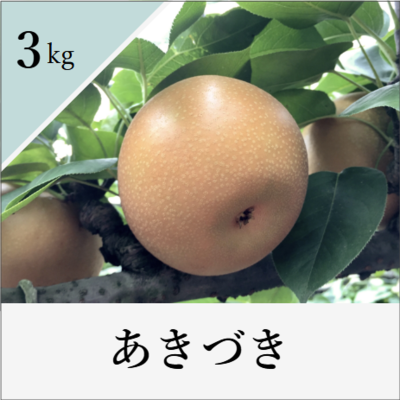 あきづき　3kg箱入り