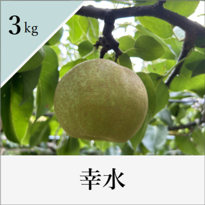 幸水　3kg箱入り