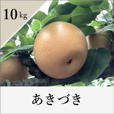 あきづき　10kg箱入り