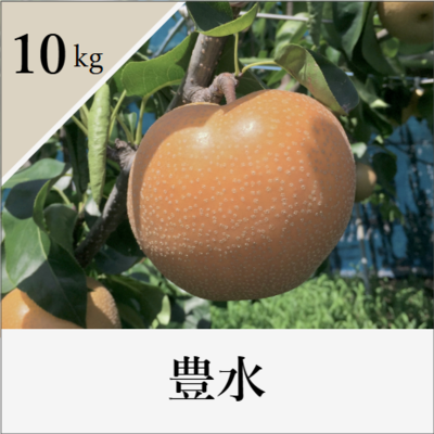 豊水　10kg箱入り