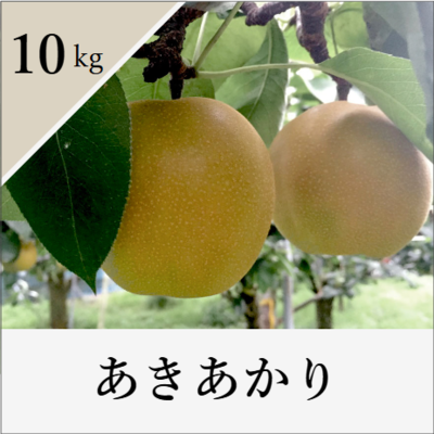 あきあかり　10kg箱入り