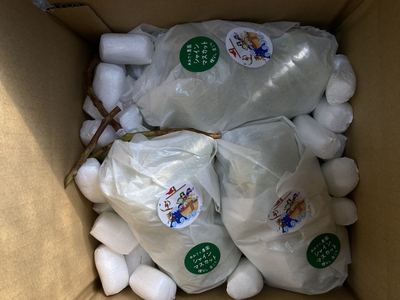 お正月徳用シャインマスカット