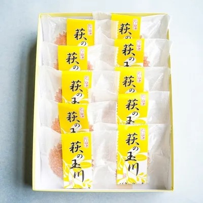 萩の玉川 10個入