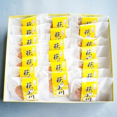 萩の玉川 20個入