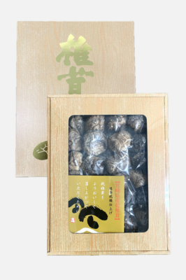 ギフト 宮崎県産 どんこ100g