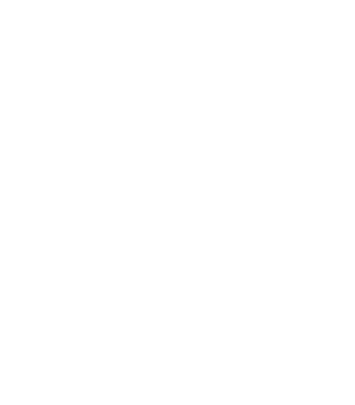 スワンおせち