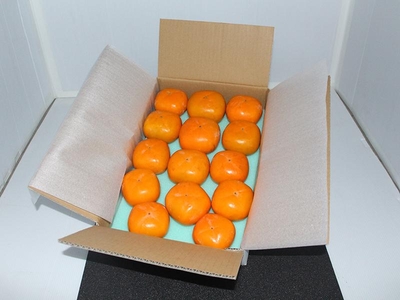 贈答用柿１２～１５玉入り