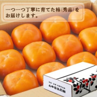 ご自宅用柿　１２～１５玉入り
