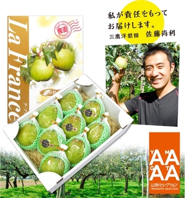 【山形セレクション認定】ラ・フランス　3Lサイズ3kg（9玉）化粧箱詰め