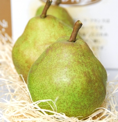 有袋栽培ラ・フランス　Lサイズ3kg（12玉）