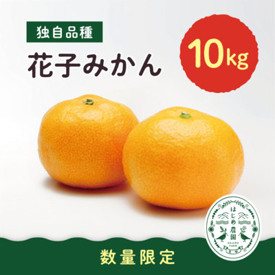花子みかん 【10kg】