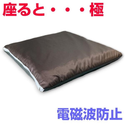 電磁波対策　座ると・・・極　BLACK EYEの医学博士丸山修寛監修　電磁波防止　電磁波ブロッカー　ブラックアイ　テラヘルツコットン フラーレン　丸山式コイル