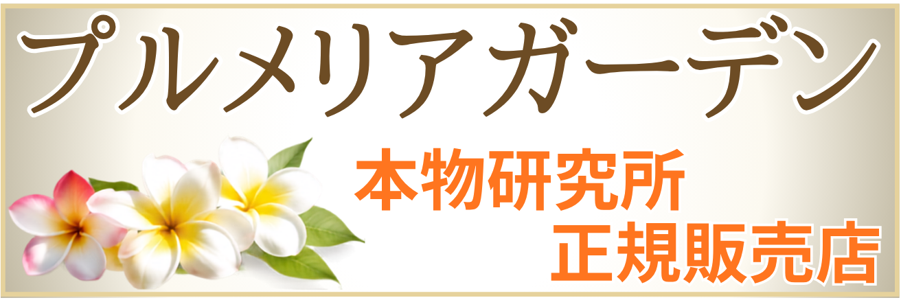 プルメリアガーデン