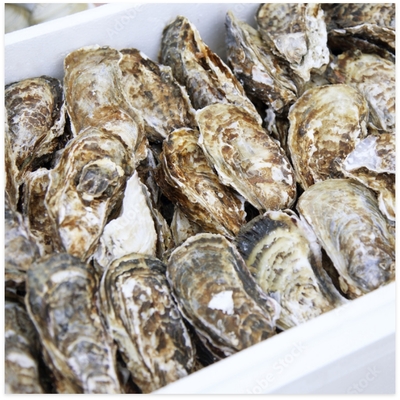 殻付き牡蠣1kg（加熱用）