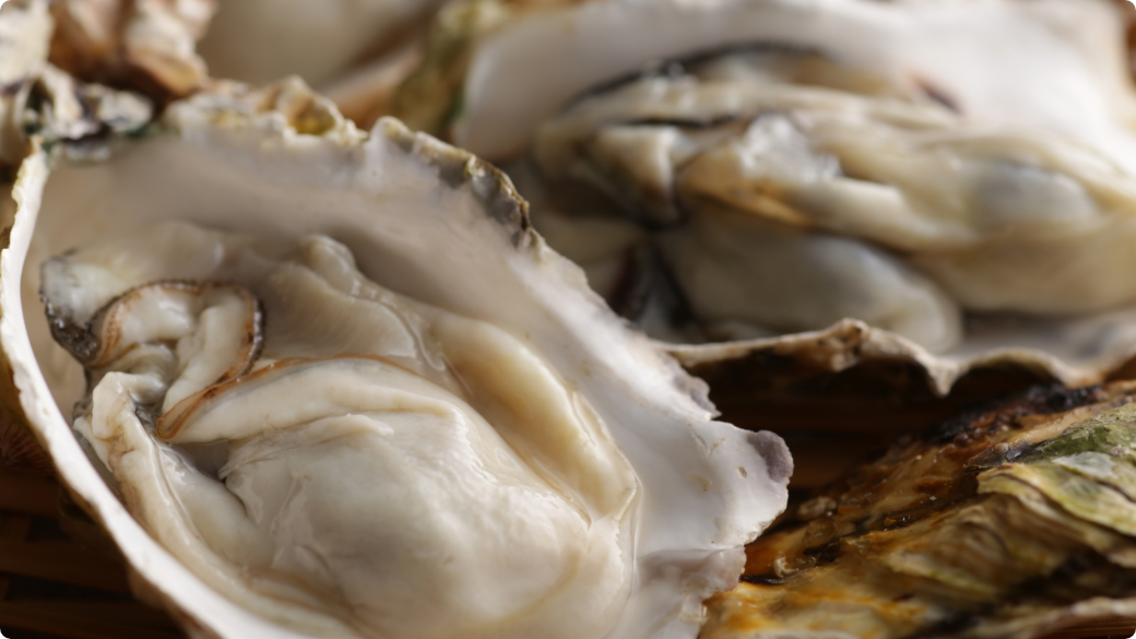 日生牡蠣