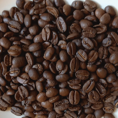 ンゴロンゴロAA++