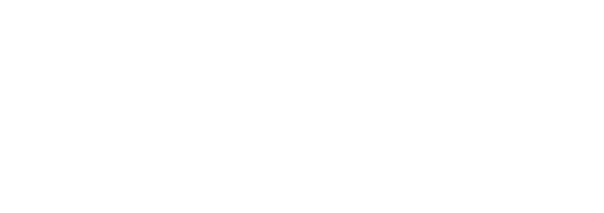 夢市場ドルフィン２
