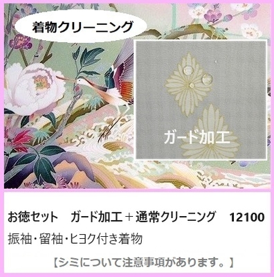 振袖クリーニング+ガード加工セット　※引き振袖は対象外