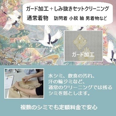 着物クリーニングしみ抜きセット＋ガード加工　通常袖着物