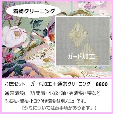 着物クリーニング+ガード加工セット