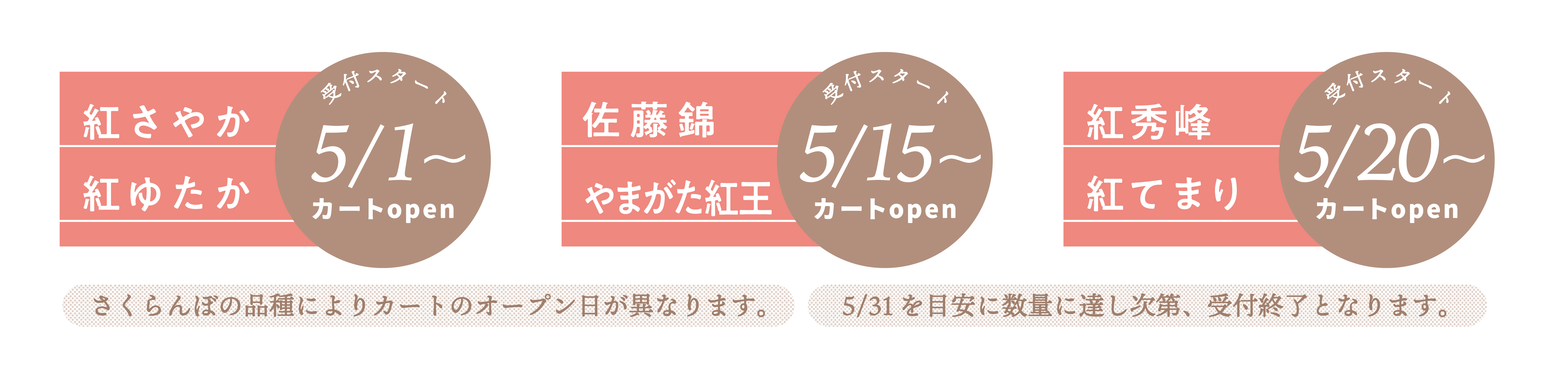 さくらんぼの受付時期
