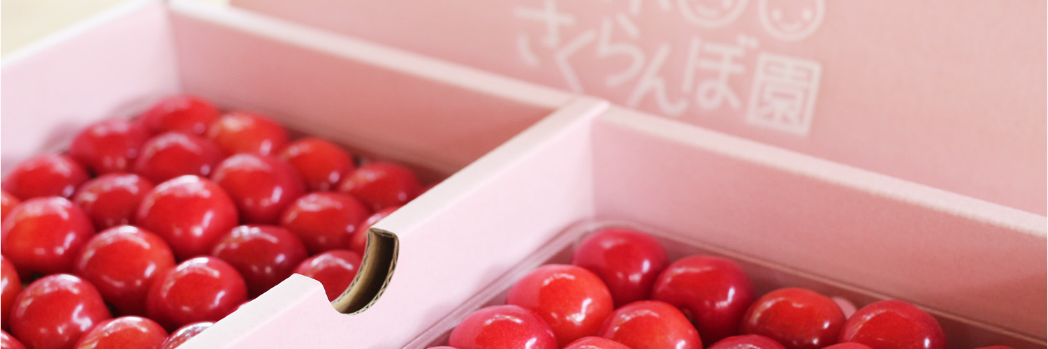 さくらん坊やの鈴木さくらんぼ園オンラインショップ