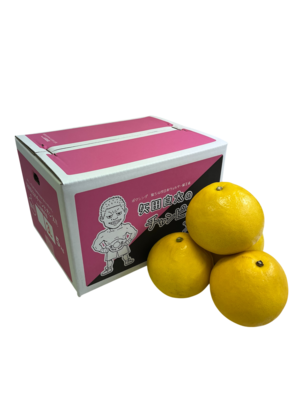 チャンピオン文旦５㎏