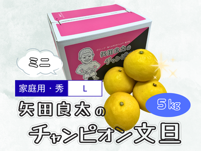 チャンピオン文旦ミニ　５kg