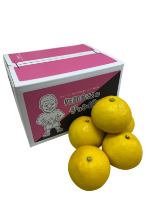 チャンピオン文旦ミニ　5㎏