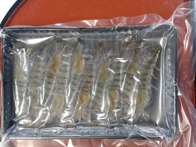 活〆冷凍車海老250g（10～15尾入り）