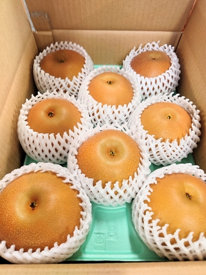 あきづき　贈答用　3キロ箱　中玉  8個入り