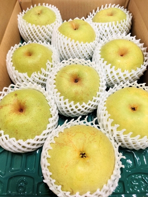 かおり　贈答用　５キロ箱　中玉  9～10個入り