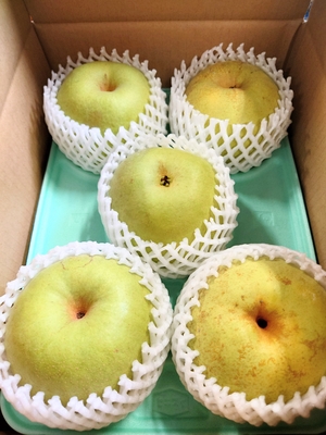 かおり　贈答用　3キロ箱　大玉   4～５個入り