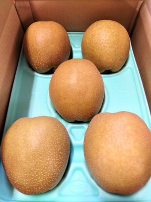 王秋　贈答用　3キロ箱　4～6個入り