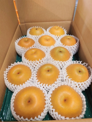 新興　贈答用　５キロ箱　8～13個入り