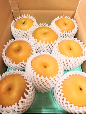 新興　贈答用　3キロ箱　5～8個入り