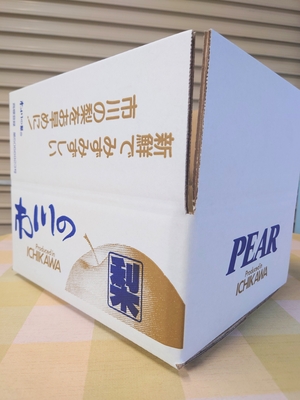 豊水　贈答用　２キロ箱　大玉　５個入り