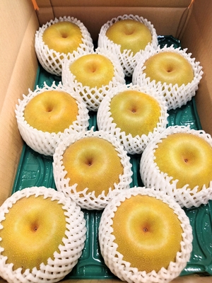 幸水　贈答用　５キロ箱　大玉  ８～１２個入り