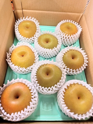 幸水　贈答用　３キロ箱　中玉  8～１0個入り