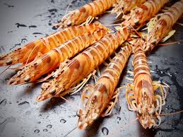 真空活〆冷凍車エビ（M）