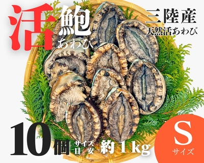 【活鮑】三陸産天然活あわび　Sサイズ　１０個　約1ｋｇ　(１個約100ｇ）