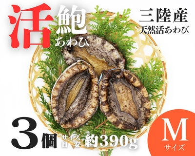 【活鮑】三陸産天然活あわび Mサイズ　3個　約390ｇ（１個約130ｇ）