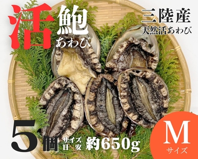 【活鮑】三陸産天然活あわび　Mサイズ　５個　約650ｇ　(１個約130ｇ）
