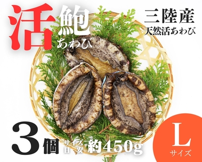 【活鮑】三陸産天然活あわび　Lサイズ　３個　約450ｇ　（１個約150ｇ）