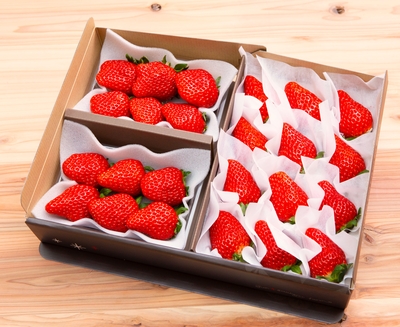 ベリーズセット