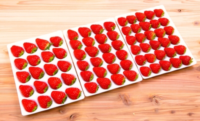 業務用平トレー２パック入り　Lサイズ