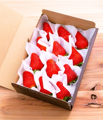 大粒ホールパック　1パック入り