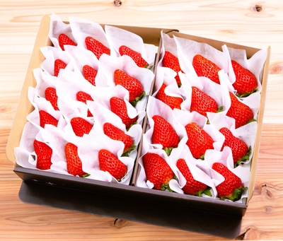 大粒ホールパック　2パック入り