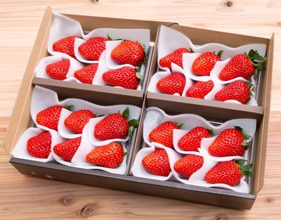 大粒スペシャルパック　4パック入り（化粧箱入り）